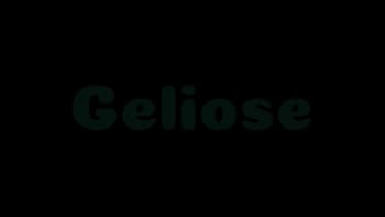 Geliose motorcycle price in Bangladesh - Official Logo