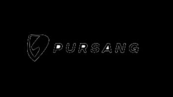 Pursang motorcycle price in Bangladesh - Official Logo