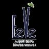 EeVe logo