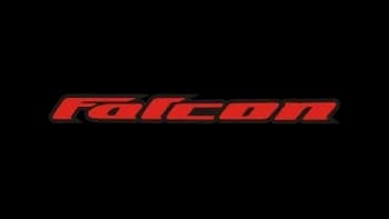 Falcon logo